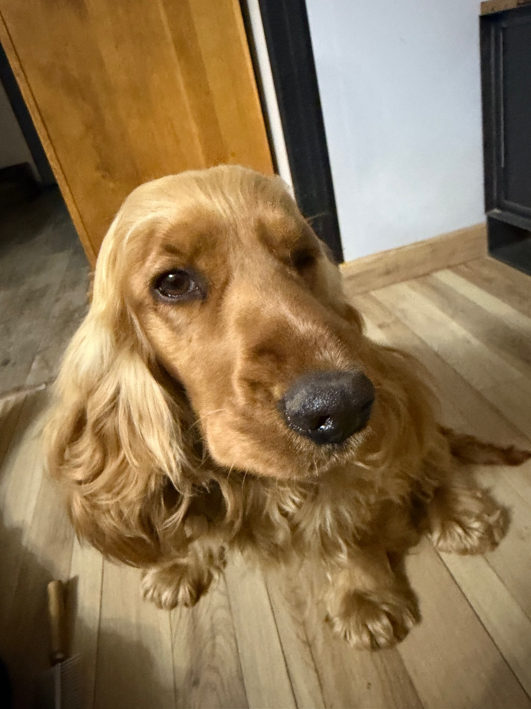 Vayana Titre Initial