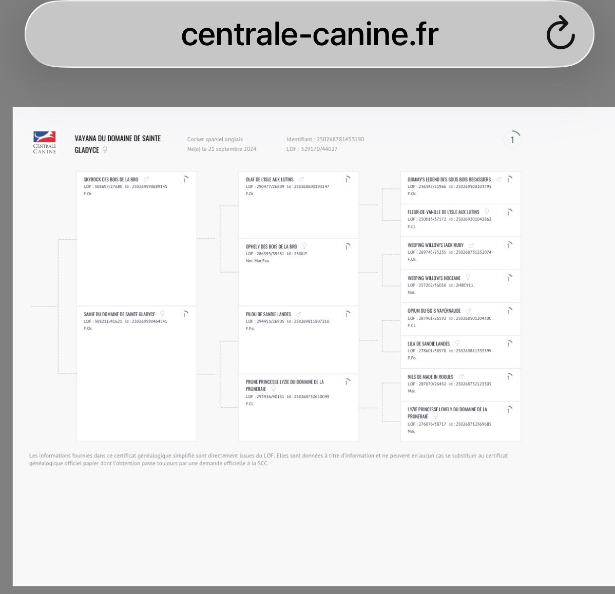 Lidzimaest Du Pays Gardois